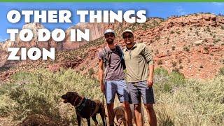 Unforgettable Hikes in Zion National Park: From Pa'rus Trail to Emerald Pools - 4K