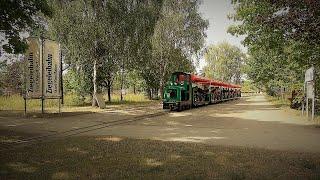 Besuch des Ziegeleiparks Mildenberg und seiner Feldbahn am 17.08.2022