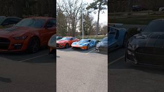 Heritage 2017 Ford GT Gets Surrounded By Our Shelby GT500s!