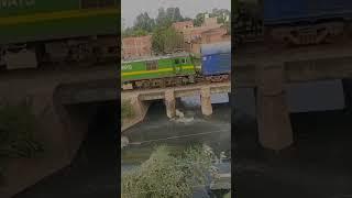 train cow accident || #cow #indianrailways 