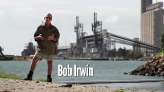 Fight for the Reef - Bob Irwin