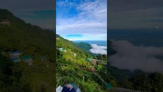 Love nature Beautiful Darjeeling #travel #nature #love #youtubeshorts #shorts #trendingshort