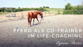 Coaching mit Pferden I Pferdegestütztes Coaching mit Rebekka Vogel #equinestories