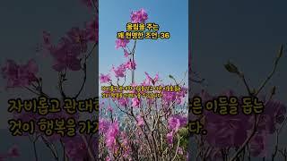 울림을 주는 꽤 현명한 조언(feat. 석가모니)-36