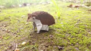 Hedgehog Origami Time lapse (Yudai Imai)