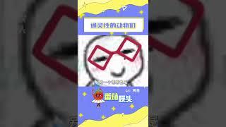 動物們也是通靈性的#萬萬沒想到 #貓貓 #狗狗 #正能量