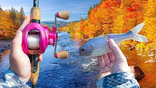 Hunting GIANT Fall Bass With ONLY Swimbaits (Big Bite)