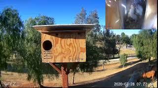 Visitor thinks twice about entering the Hoot House