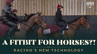 A Fitbit for horses?! Aidan O'Brien on new technologies for horse welfare