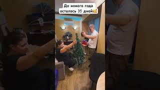 Зима близко #youtubeshorts #семья #елка #новыйгод