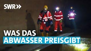 Die Kloakendetektive - Geheimnisse unseres Abwassers | SWR Wissen