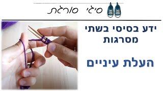 העלאת עיניים בשתי מסרגות - איך מעלים עיניים בשתי מסרגות - הדרכה
