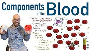 Components of Blood