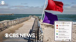 What does each beach flag color mean? Here's what to know before you go.