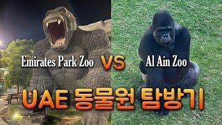 [아부다비Vlog] UAE 동물원 탐방기| Emirates Park Zoo vs Al Ain Zoo | 접근성 vs 동물복지