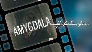 Amygdala | Gameplay | PC Steam | 2024 | Hababuniken