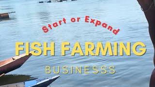 Fish farming business in Ghana