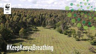 #KeepKenyaBreathing:A Greener Kenya Starts With You