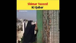 Shimar Yazeed Ki Qabar  | #shorts #youtubeshorts #factsvideo