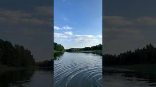 Наше лето  #подмосковье #лето #лето2024