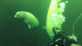 Arctic Circle Ice Diving, White Sea, Russia