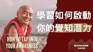 探索你的內在世界！學習如何啟動你的覺知潛力｜明就仁波切 Mingyur Rinpoche