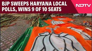 Haryana Elections | BJP Sweeps Haryana Local Polls, Wins 9 Of 10, Congress Loses In Hooda Bastion