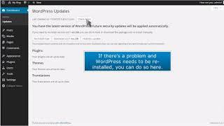 How To Update Your Wordpress Installation | ACTWD Knowledge Base