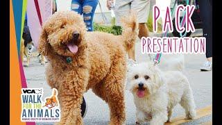 31st Annual VCA Walk for the Animals Pack Presentation