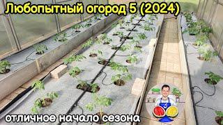 Любопытный огород 5 (2024)