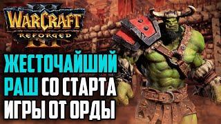 ЖЕСТОЧАЙШИЙ РАШ СО СТАРТА ОТ ОРДЫ: Warcraft 3 Reforged