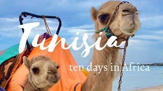 Tunisia Ten days in Northern Africa Ep 40 Going Walkabout