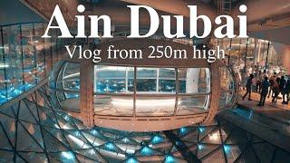 [Vlog] Ain Dubai (Dubai Eye) | Best view in my life | Premium Cabin experience