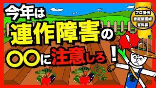 【家庭菜園の基本】連作障害を知らない人は野菜作りに失敗する！注意点と対策紹介！【アニメでわかる家庭菜園解説】