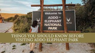 Things you should know before visiting Addo Elephant Park | South african travel vlogger