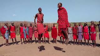 Maasai jumping contest