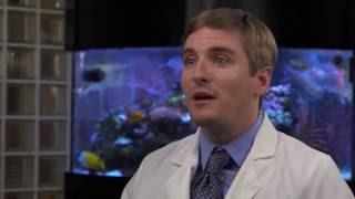 Periodontist Dr. Mark McCawley - Gum Recession Treatment - Fort Lauderdale, FL