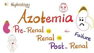 Azotemia -  Pre-renal vs Intra-renal vs Post-Renal Azotemia - AKI - ARF - Kidney Pathology