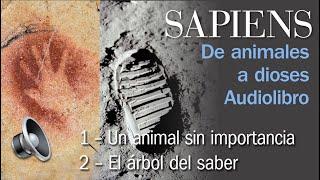 Sapiens, De Animales a Dioses, Harari, Audiolibro Voz Humana, capítulos 1 y 2 en español, castellà️