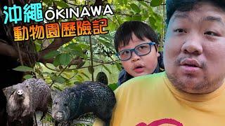 沖繩還有續集!!在名護動植物公園成功使出爬豬語，有人一直學爸爸，晨晨又是心滿意足的一天 | Neo Park Okinawa