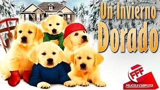 UN INVIERNO DORADO | Película Completa FAMILIAR PARA NIÑOS en Español