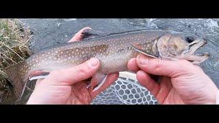 Trout Fishing the Wisconsin Driftless Area