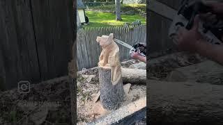 Fast chainsaw raccoon carving #art #chainsawcarving #woodworking #sculpture #spirit #artist #wild