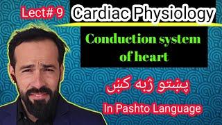Le#9 Conduction System of Heart | Myocardial Conductivity | SA node, AV node, Bundle of Hizz