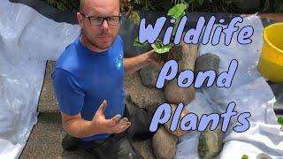 Wildlife Pond Plants - Plant Only Ponds - uk pond plants