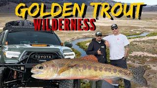 Golden Trout Wilderness - Dry Fly Fishing the South Fork Kern River