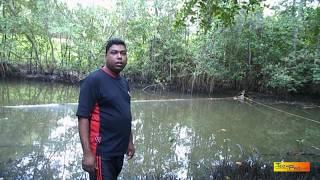 Fishing In The Guapo River