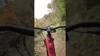 Pohatu, Makara Peak #ebike #ebikes #mountainbike #newzealand #wellington #mountainbikepark