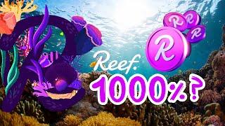 Reef Finance | REEF |  Монета на иксы | Обзор, перспектива, прогноз