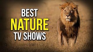 Top 5 Best Nature TV Shows